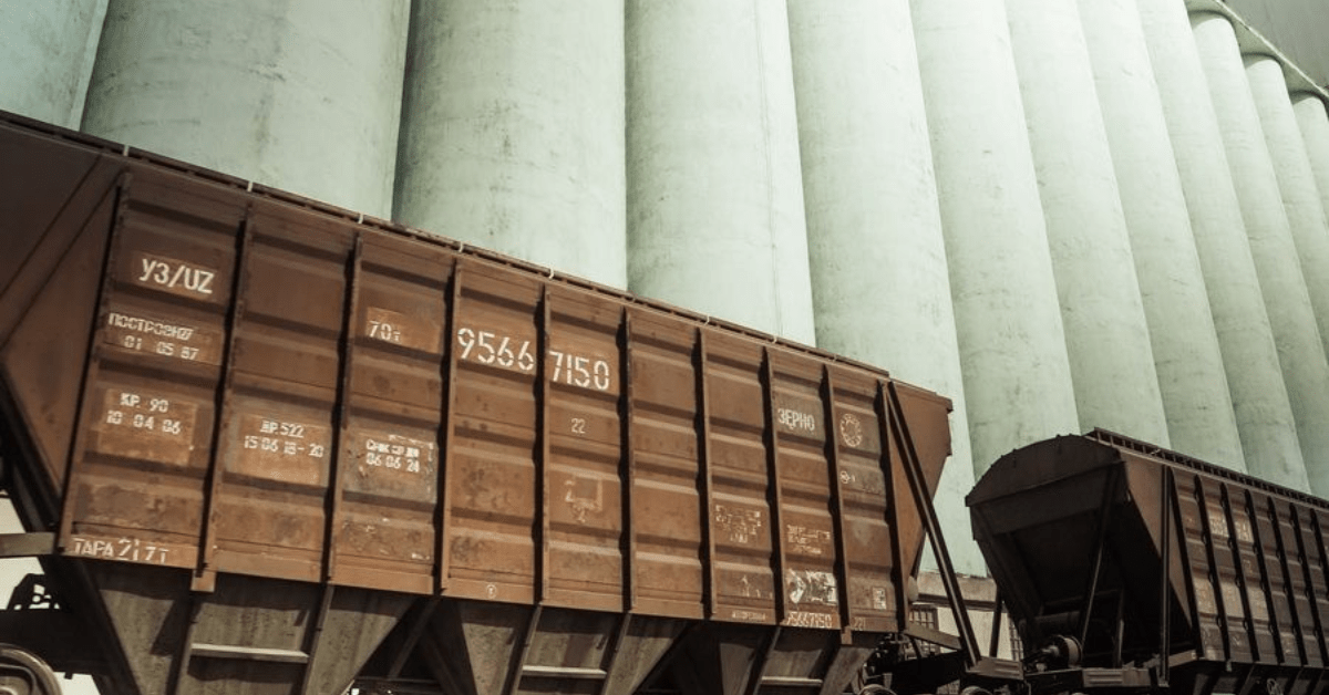 Експорт зерна УЗ скоротила на 20%