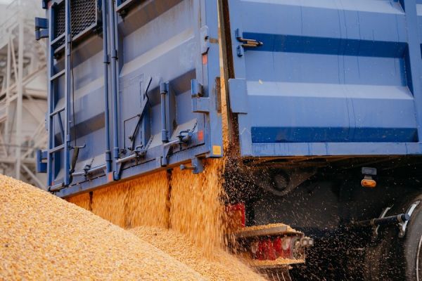 На українських елеваторах ефективно показує себе автоматизація внутрішньої логістики — експерти
