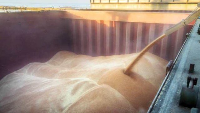 Румунія збільшує транзит українського зерна Дунаєм